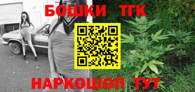 гашик Янаул