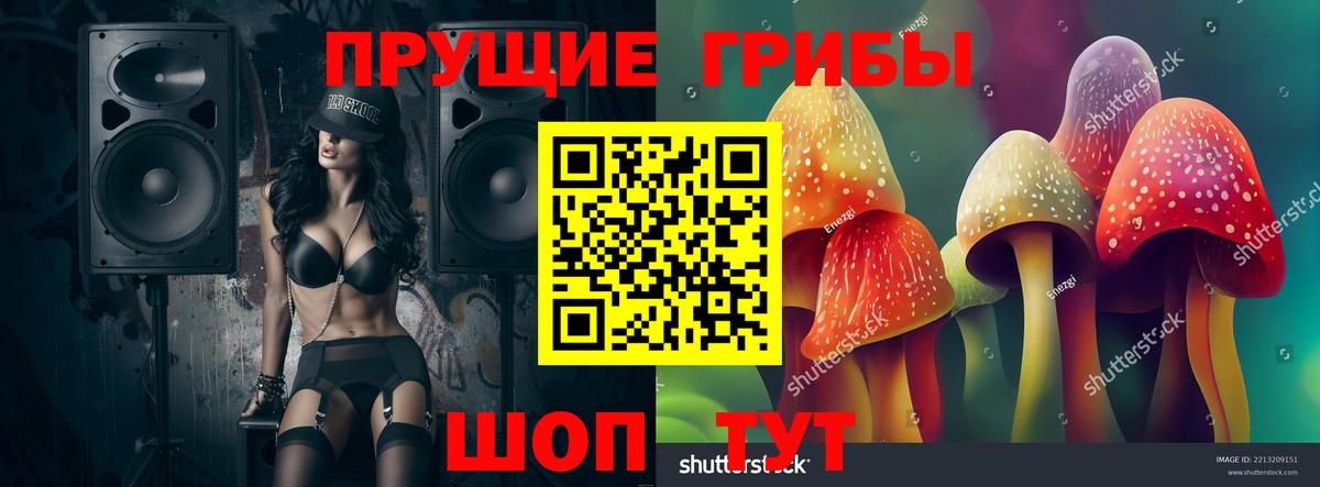 Сергиев Посад  Псилоцибиновые грибы мицелий  Вход с VPN 